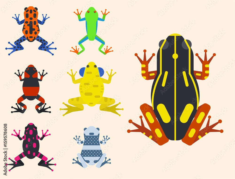 Frog cartoon tropical animal cartoon amphibian mascot character wild vector illustration.
