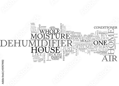 WHOLE HOUSE DEHUMIDIFIERS TEXT WORD CLOUD CONCEPT