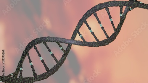 Fototapeta Naklejka Na Ścianę i Meble -  DNA strand helix concept, DNA research CRISPR gene editing, chromosome representation, 3D rendering