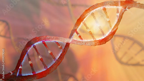 DNA strand helix concept, DNA research CRISPR gene editing, chromosome representation, 3D rendering photo