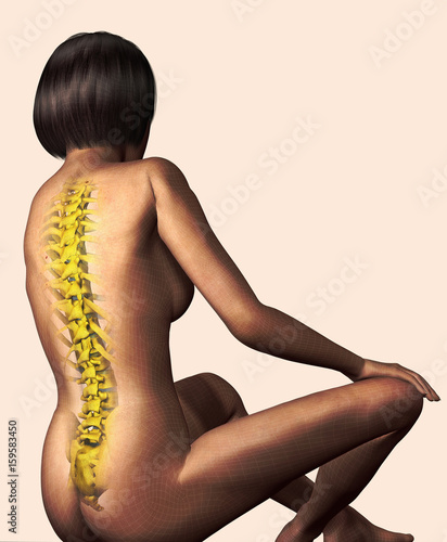 Illustration of a woman showing her spine photo