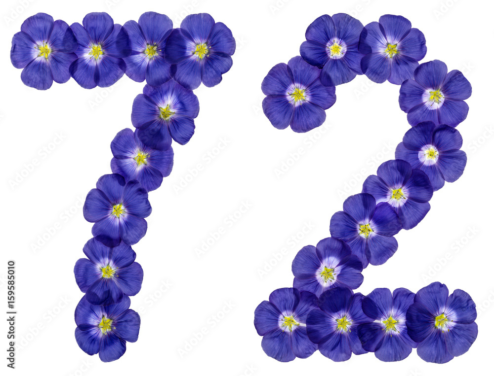 Arabic numeral 72, seventy two, from blue flowers of flax, isolated on white background