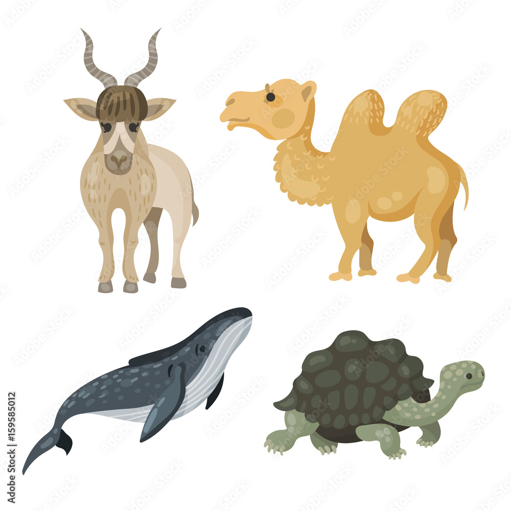 Fototapeta premium big animals set