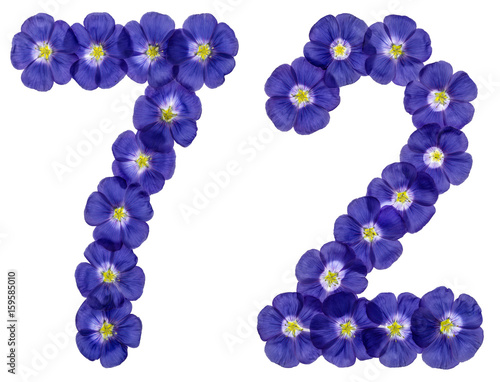 Arabic numeral 72  seventy two  from blue flowers of flax  isolated on white background
