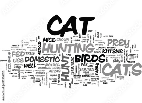 YOUR CAT THE HUNTER TEXT WORD CLOUD CONCEPT