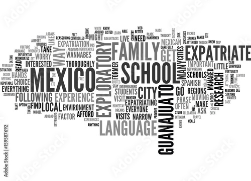 YOU WANT TO MOVE TO MEXICO TEXT WORD CLOUD CONCEPT