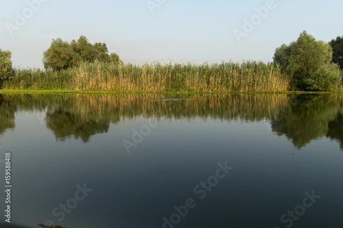 Landscape with waterline, birds, reeds and vegetation, water reflexions, in Danube Delta, Romania