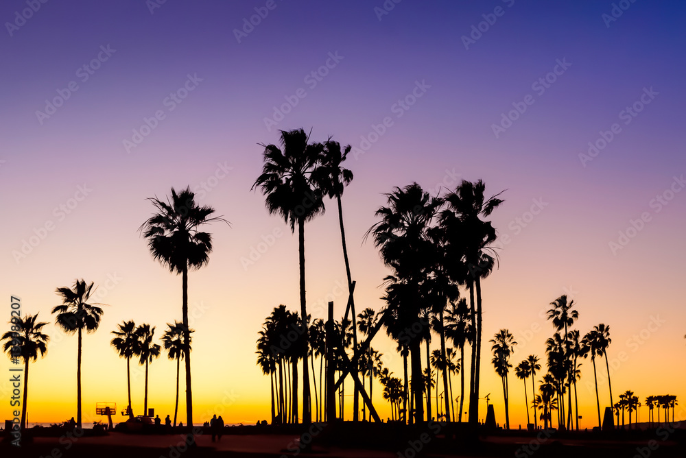 Obraz premium Venice Beach