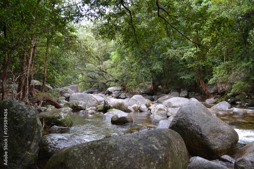 Stones at a river in the Daintree rainforest Stones at a river in the Daintree rainforest