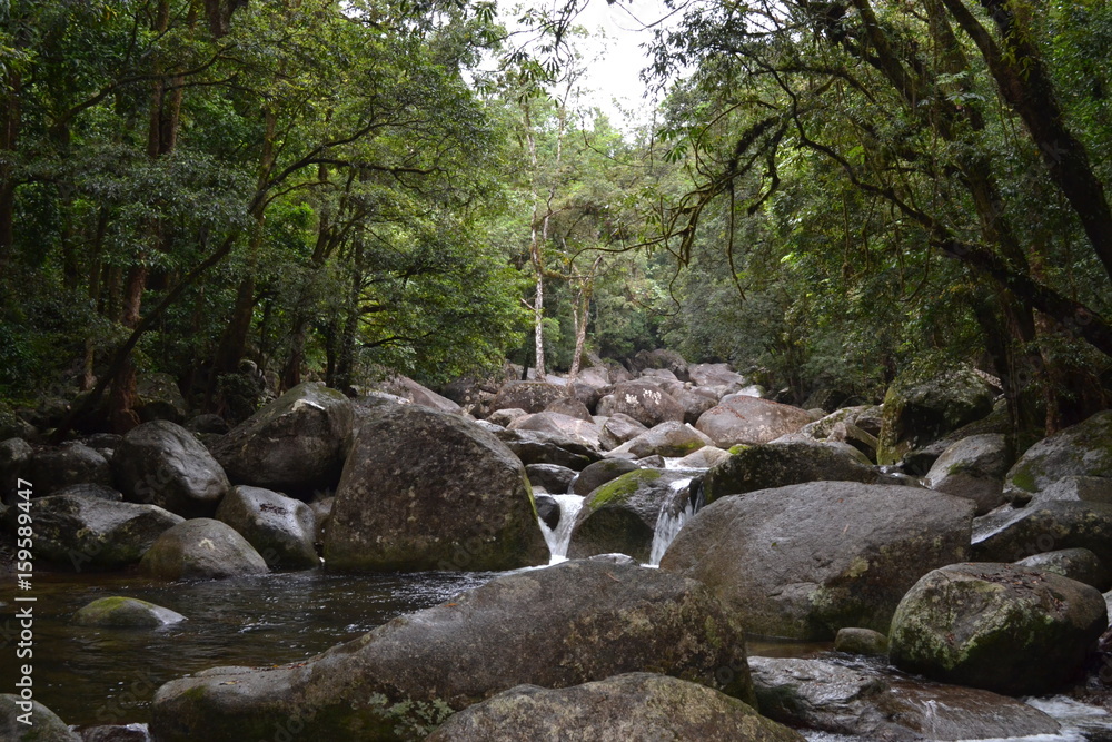 Stones at a river in the Daintree rainforest Stones at a river in the Daintree rainforest