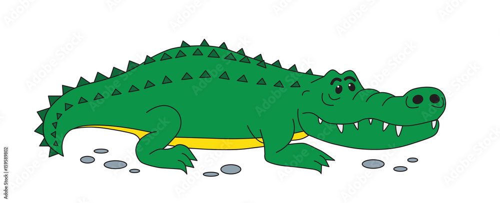 Fototapeta premium Crocodile isolated on white - jpg illustration