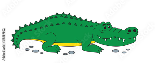 Crocodile isolated on white - jpg illustration