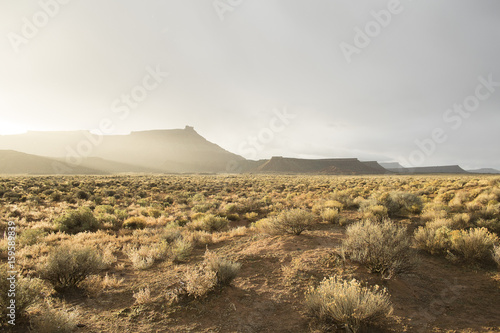 Arid landscape, Virgin, Washington County, Utah, USA photo