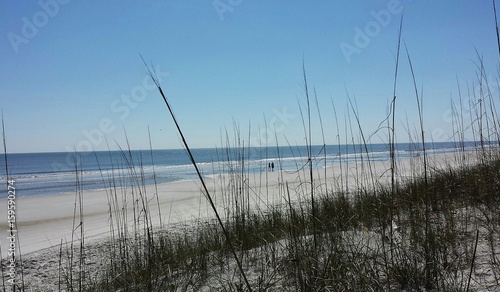 Sand dunes and ocean view on Atlantic coast of North Florida 