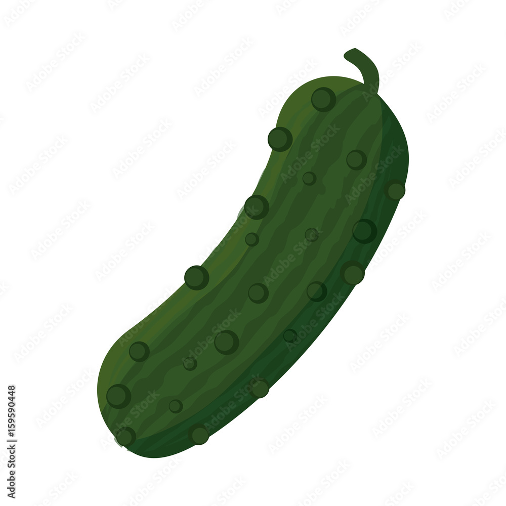 Cucumber fresh vegetable icon vector illustration graphic design Cucumber fresh vegetable icon vector illustration graphic design
