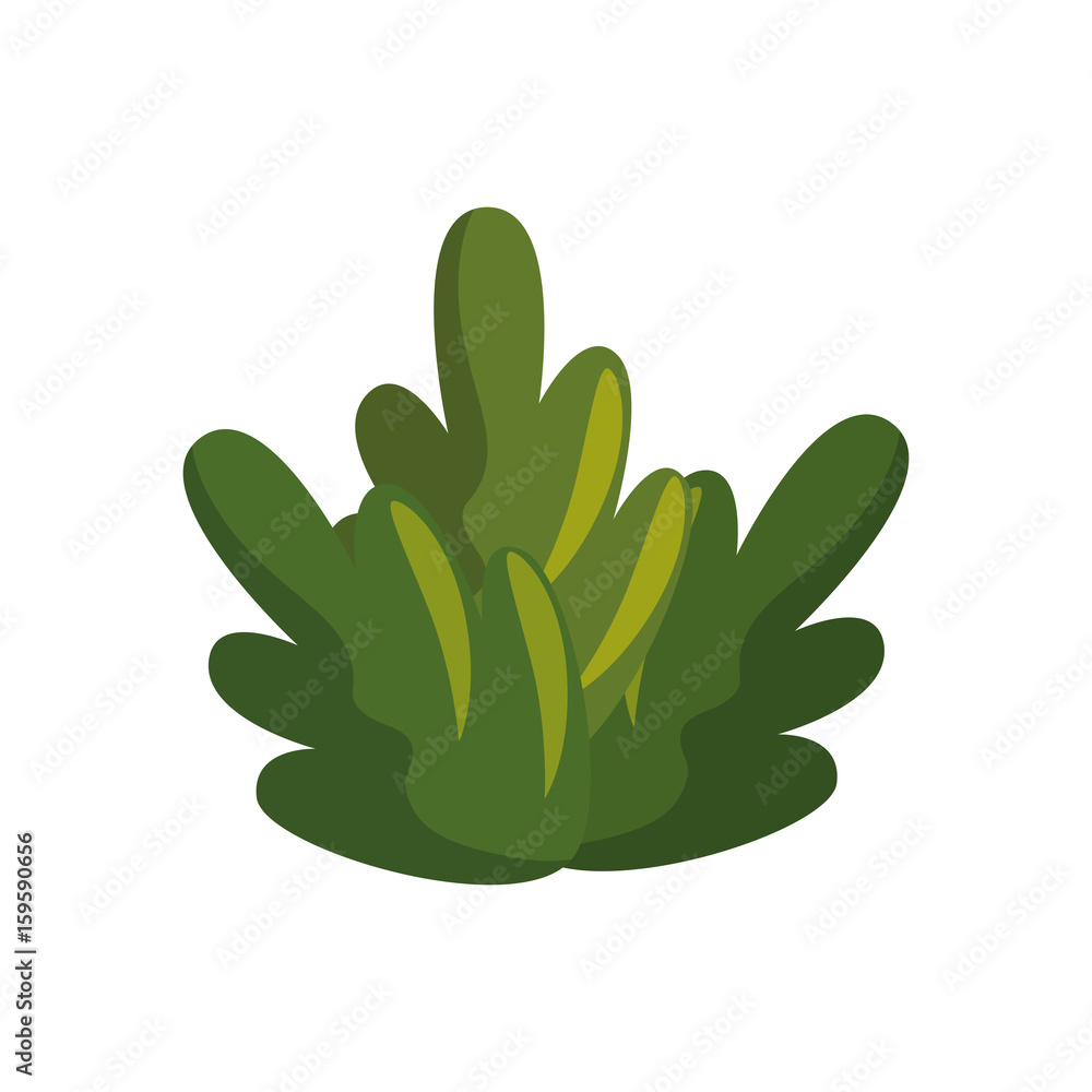 Fruit leaves isolated icon vector illustration graphic design Fruit leaves isolated icon vector illustration graphic design
