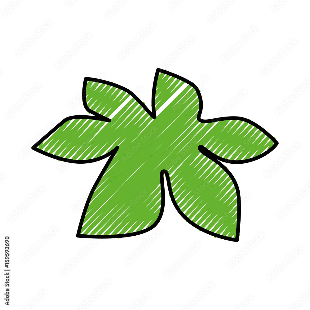 Fruit leaves isolated icon vector illustration graphic design Fruit leaves isolated icon vector illustration graphic design