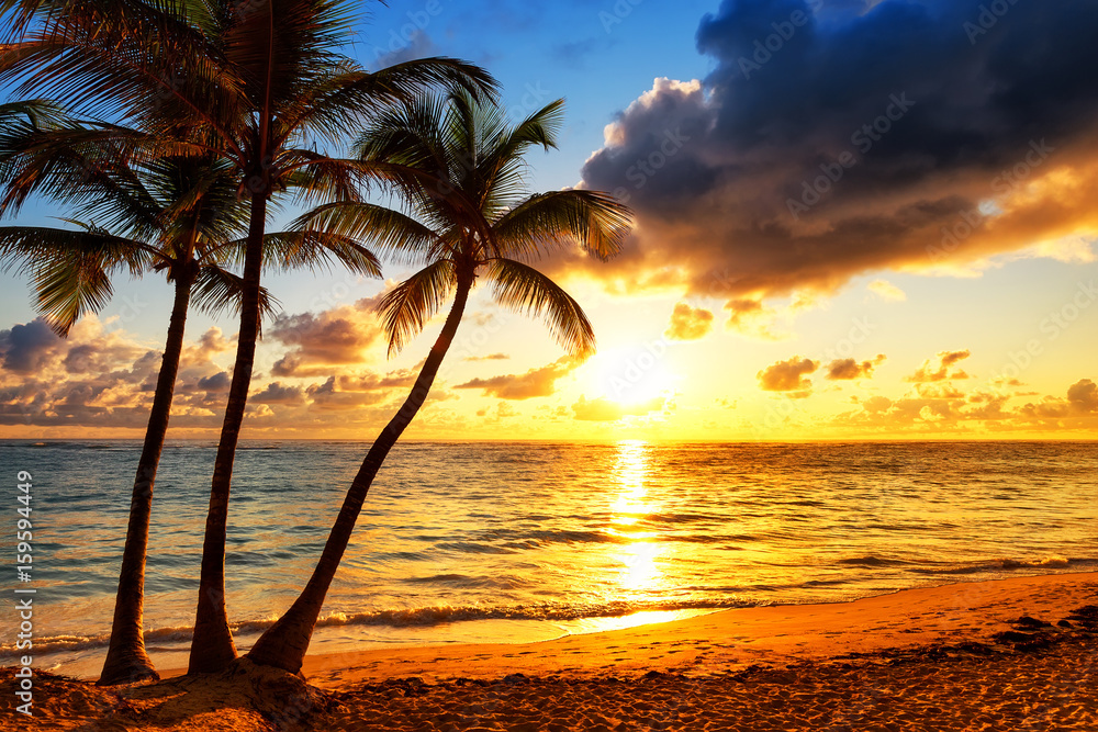 Naklejka premium Coconut palm trees against colorful sunset