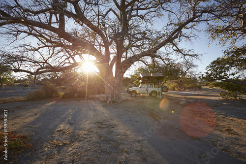 Off road vehicle parked by large tree, sunset, Gweta, makgadikgadi, Botswana photo