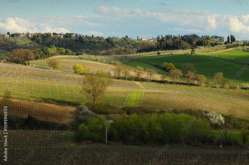 Beautiful Tuscan landscape near Castellina in Chianti, Siena. Italy.