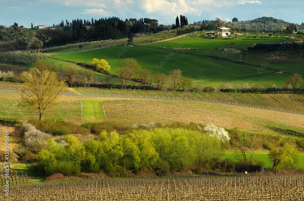 Beautiful Tuscan landscape near Castellina in Chianti, Siena. Italy. Beautiful Tuscan landscape near Castellina in Chianti, Siena. Italy.