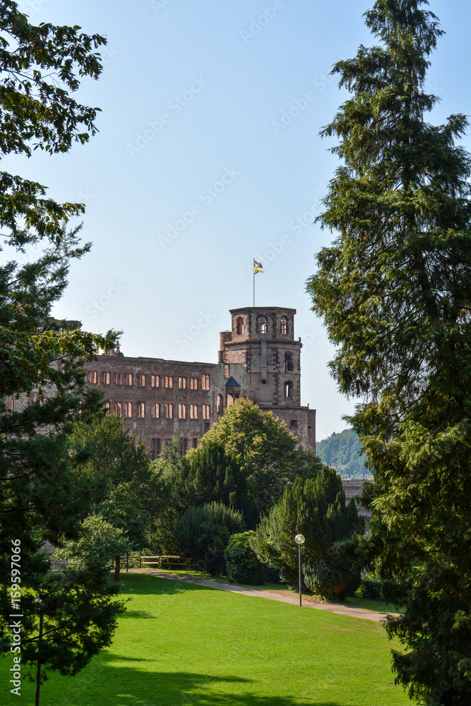 The old castle of Heidelberg with a park