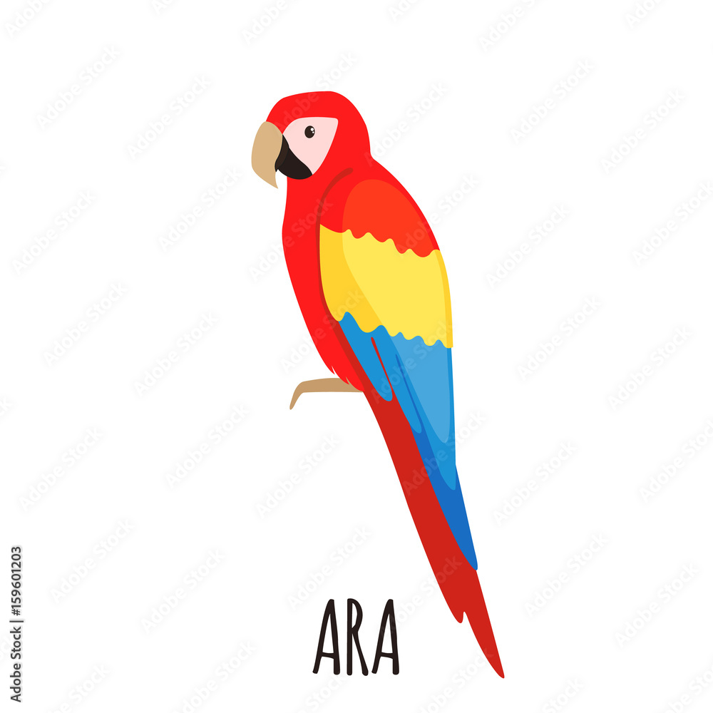 Cute Ara parrot in flat style Cute Ara parrot in flat style