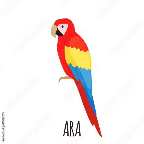 Cute Ara parrot in flat style