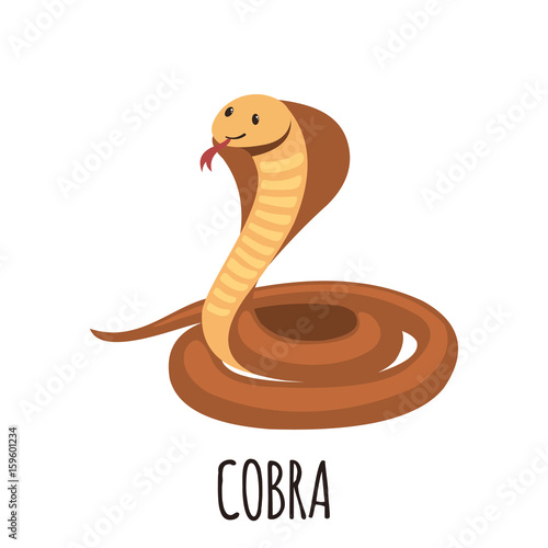 Cute cobra in flat style.