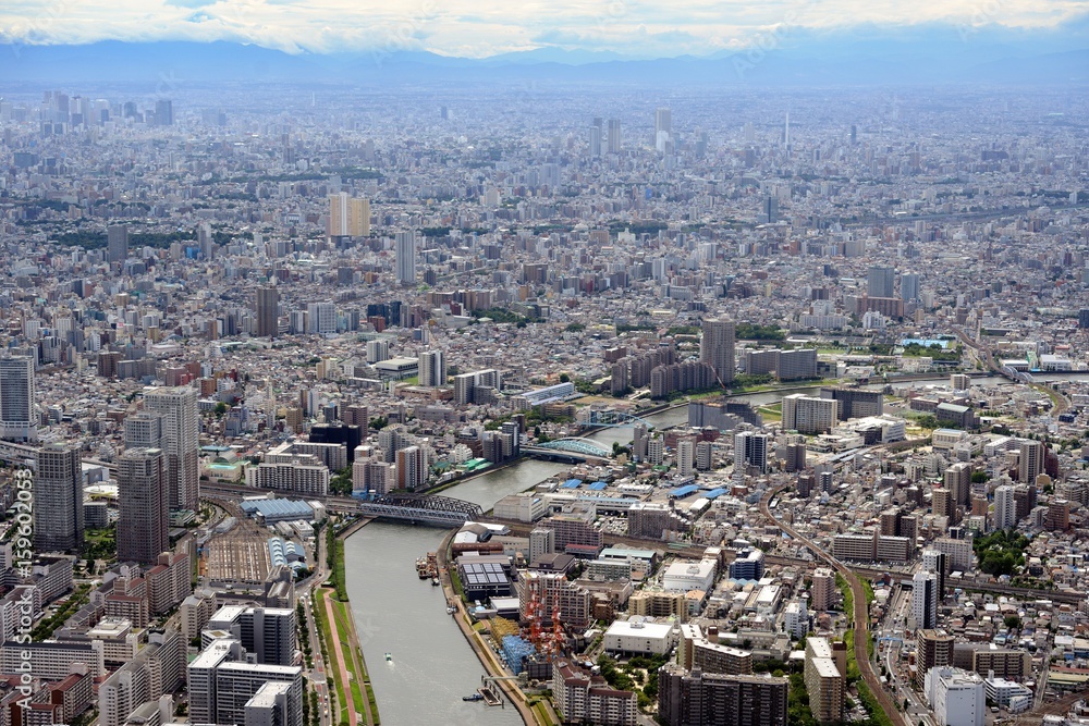 Fototapeta premium 隅田川・千住大橋