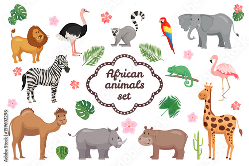 African animals set.