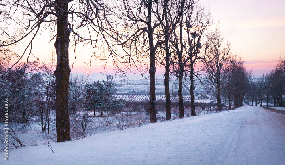 Sunset in winter forest Sunset in winter forest