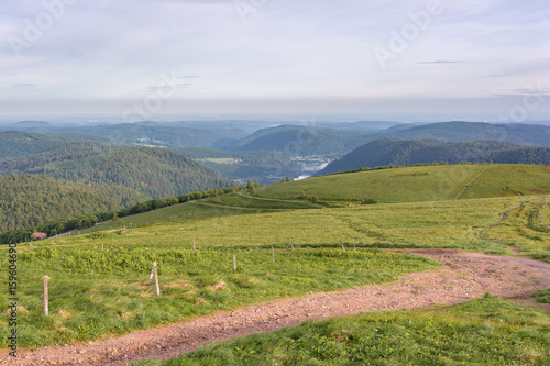 French countryside - Vosges. A cow pasture and road in the Vosges with a beautiful view of the countryside and a lake. © PhotoGranary