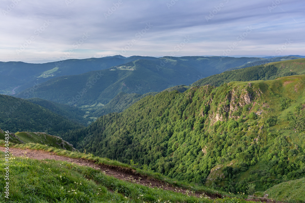 Fototapeta premium French countryside - Vosges. Sunrise in the Vosges with a view of the Black Forest (Germany) and the Alps in the background.