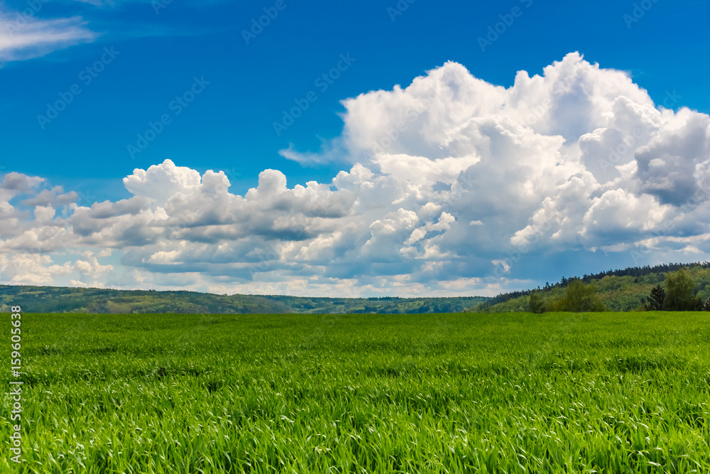 Green grass field blue cloudy sky horizon background