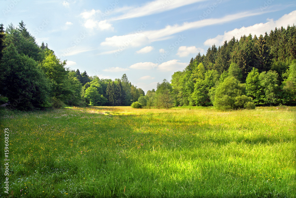 Obraz premium sommer im land