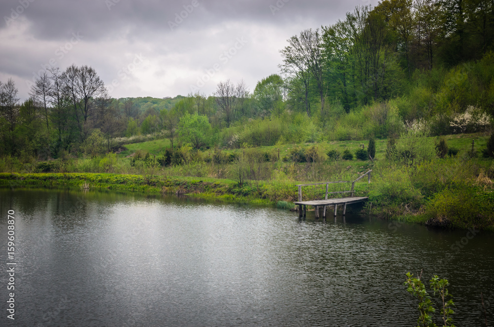 Spring lake and forest on a cloudy day.