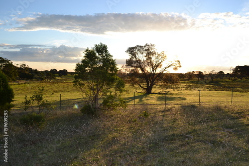 landscape in australia during sunset