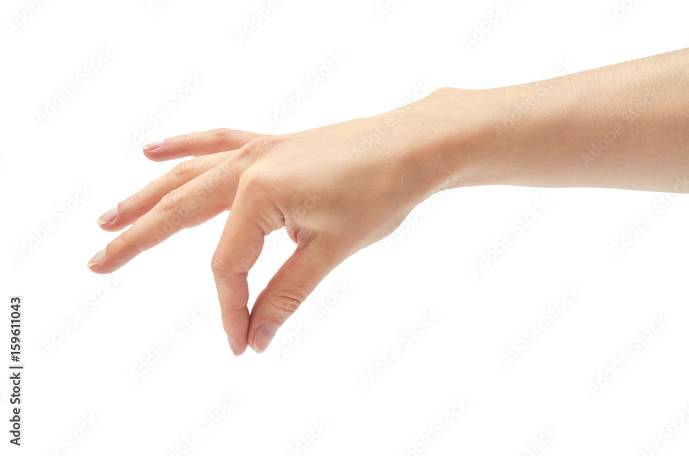 Beautiful female hand holding gesture. Isolated on white background