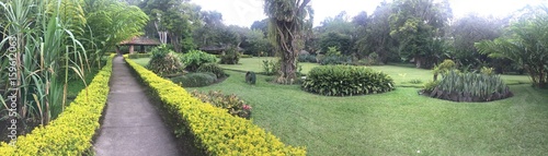 Fotografija Le jardin