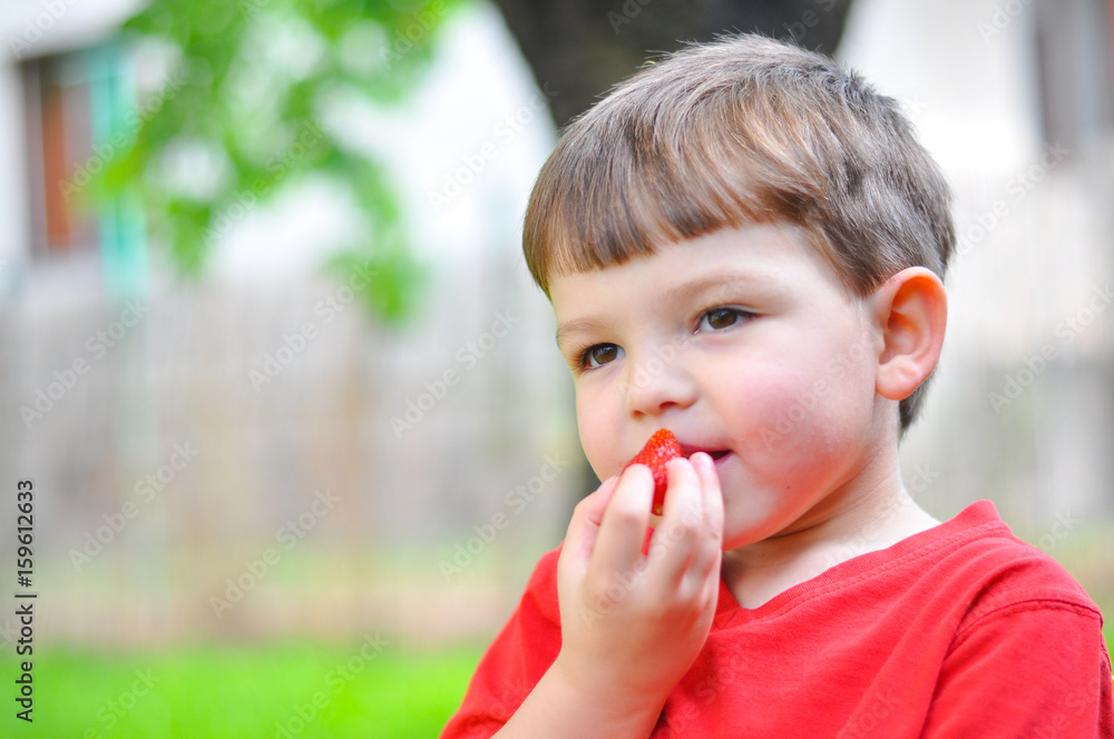 Little boy eating strawberry. Happy kid eats strawberry in garden Little boy eating strawberry. Happy kid eats strawberry in garden