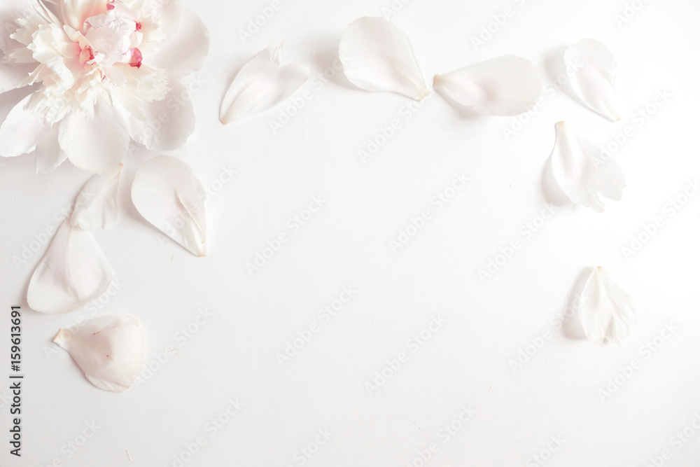 Wedding styled stock photography with peony flower head and petals lying on white background. Flat lay composition. Empty space for your text. Beautiful blank card or birthday invitation.