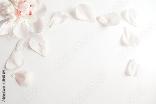 Wedding styled stock photography with peony flower head and petals lying on white background. Flat lay composition. Empty space for your text. Beautiful blank card or birthday invitation.
