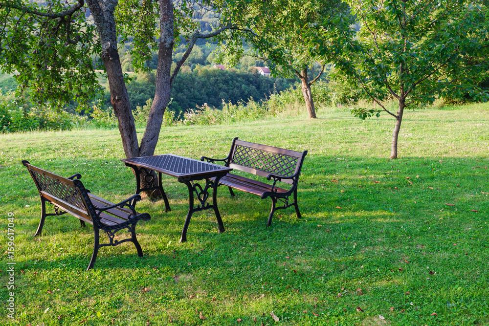 Table and chairs at summer green garden