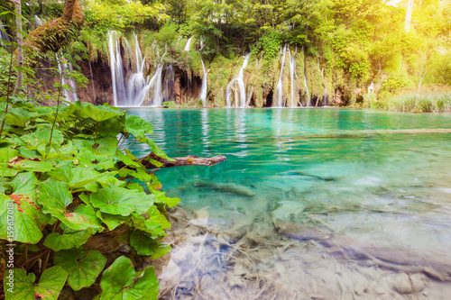 Fototapeta Naklejka Na Ścianę i Meble -  Beautiful summer green forest waterfall