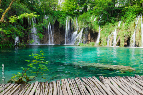 Beautiful summer green forest waterfall