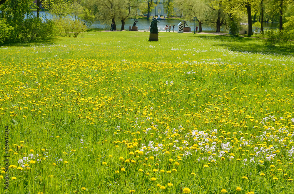 Obraz premium The natural landscape in the summer.