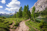 Alpine mountain summer landscape