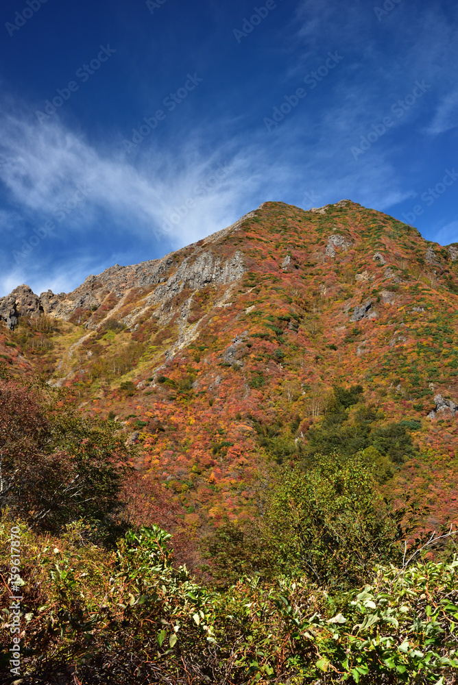 Mountain in Autumn