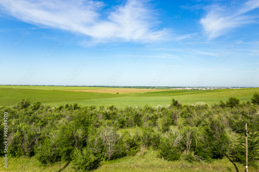 Nature in the steppe of Kazakhstan in the spring Nature in the steppe of Kazakhstan in the spring